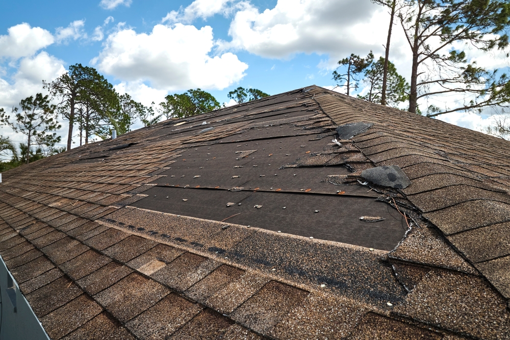 Topper roof repairs